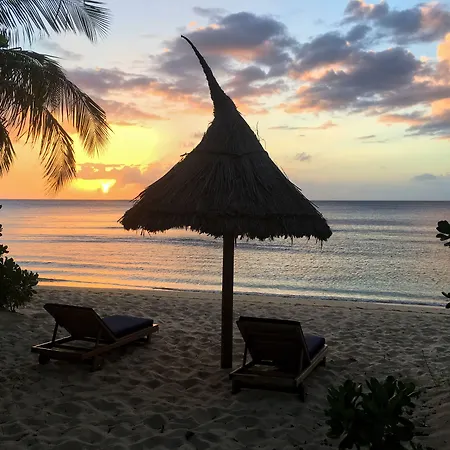 Octopus Resort-3